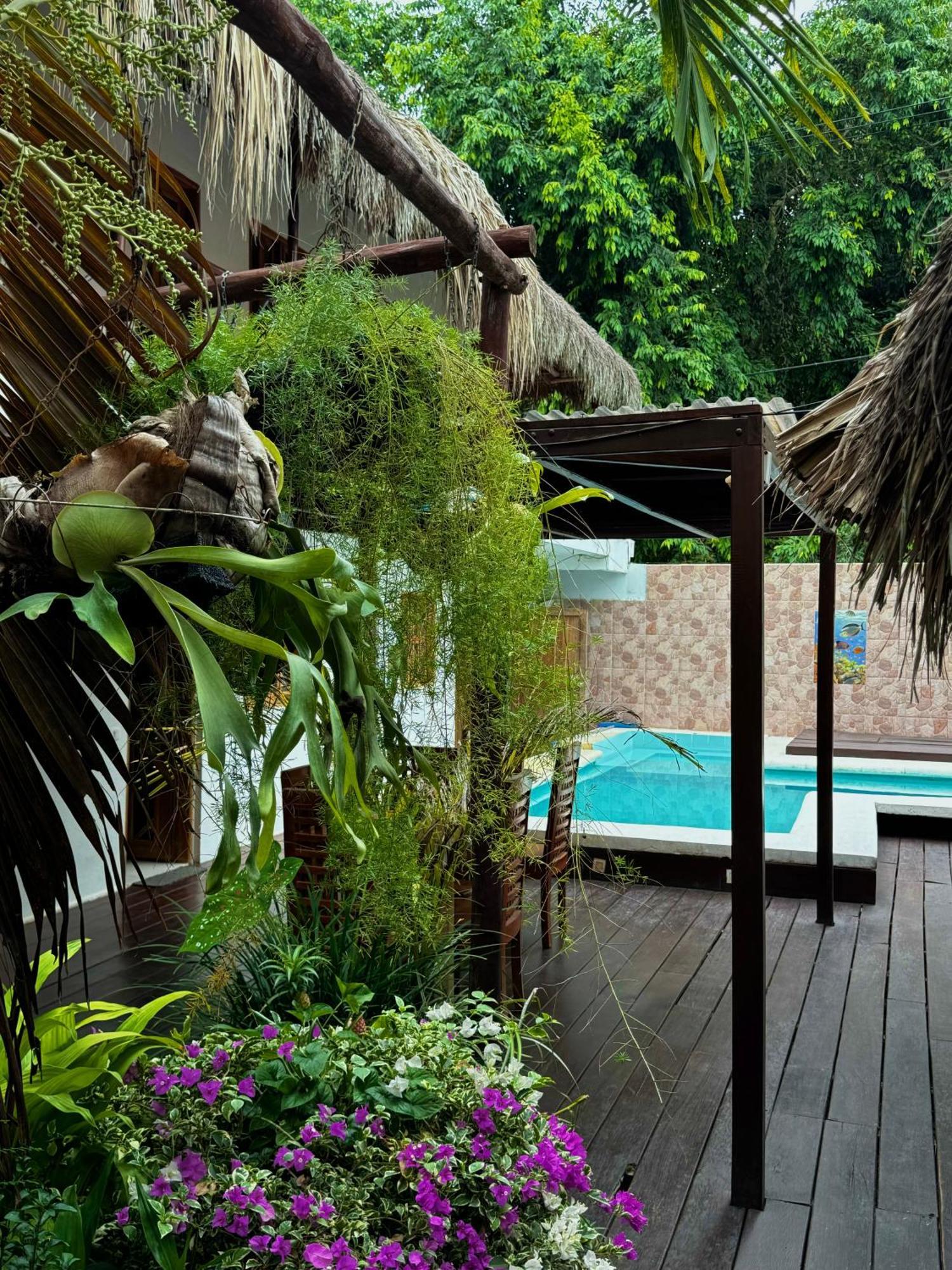 Hostal Nibuni פאלומינו מראה חיצוני תמונה