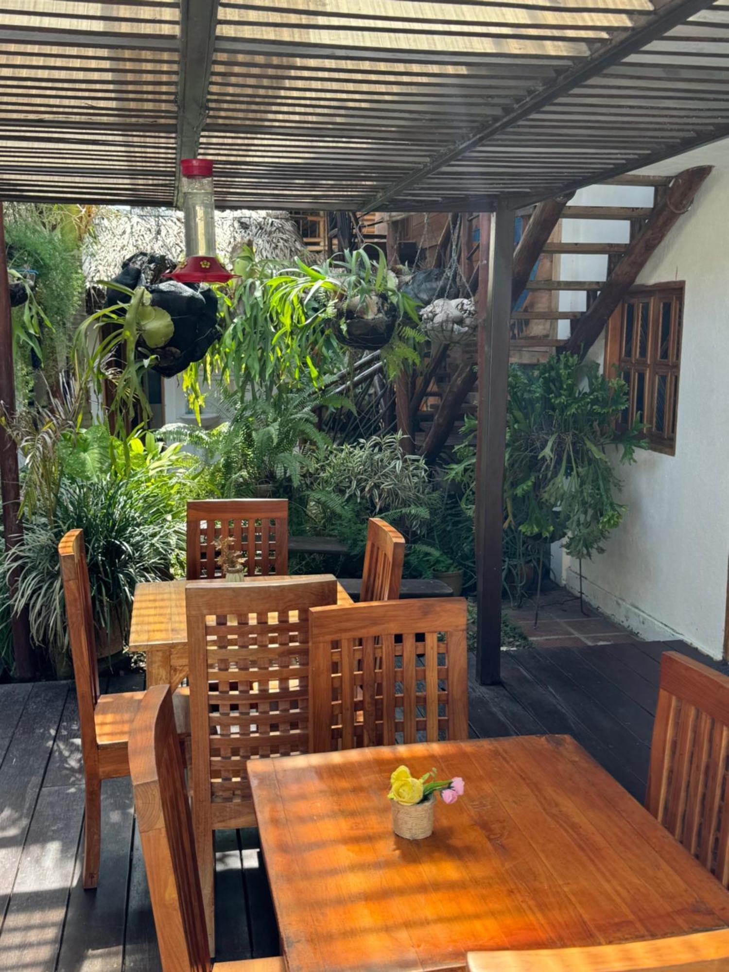 Hostal Nibuni פאלומינו מראה חיצוני תמונה