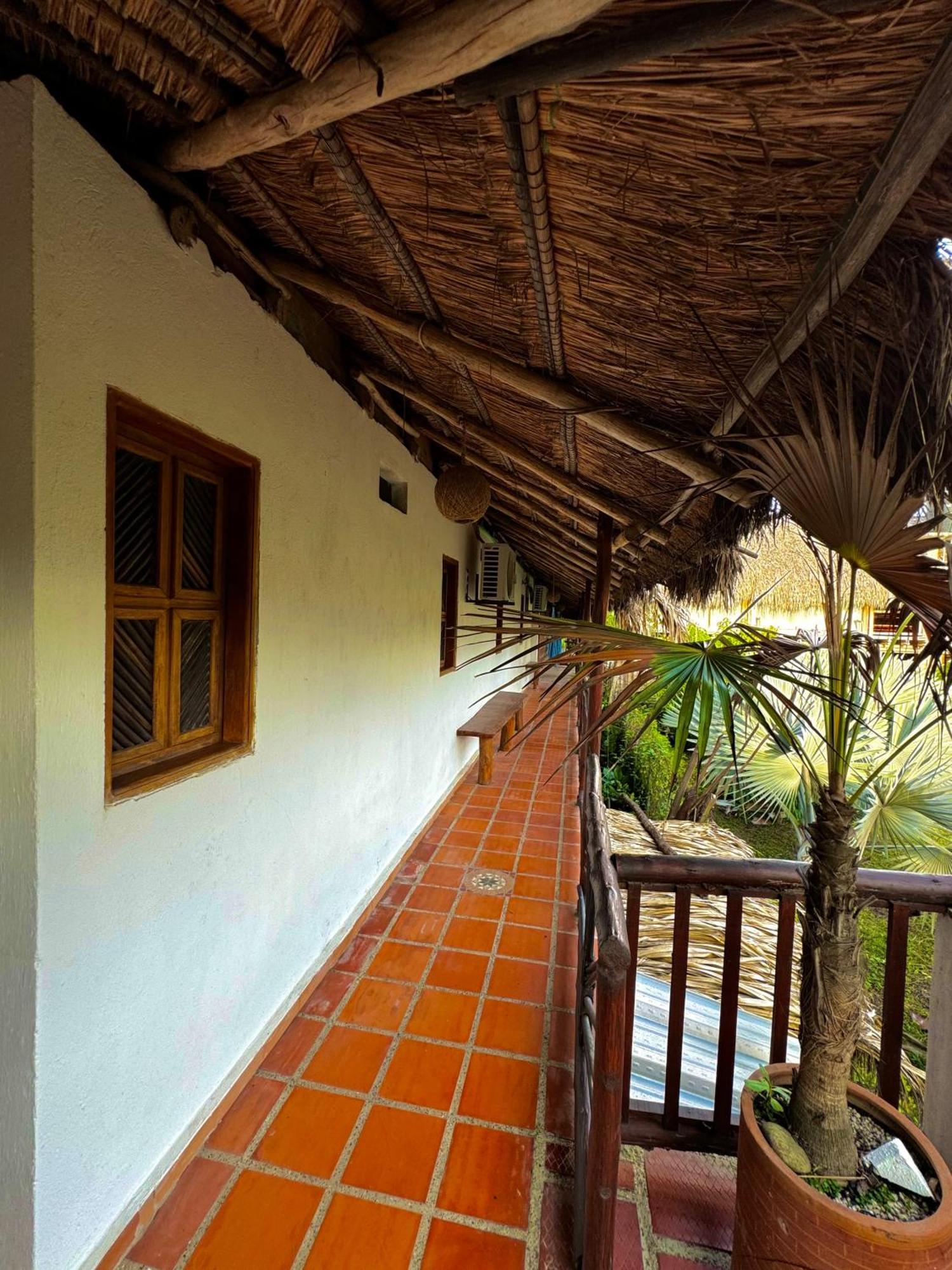 Hostal Nibuni פאלומינו מראה חיצוני תמונה
