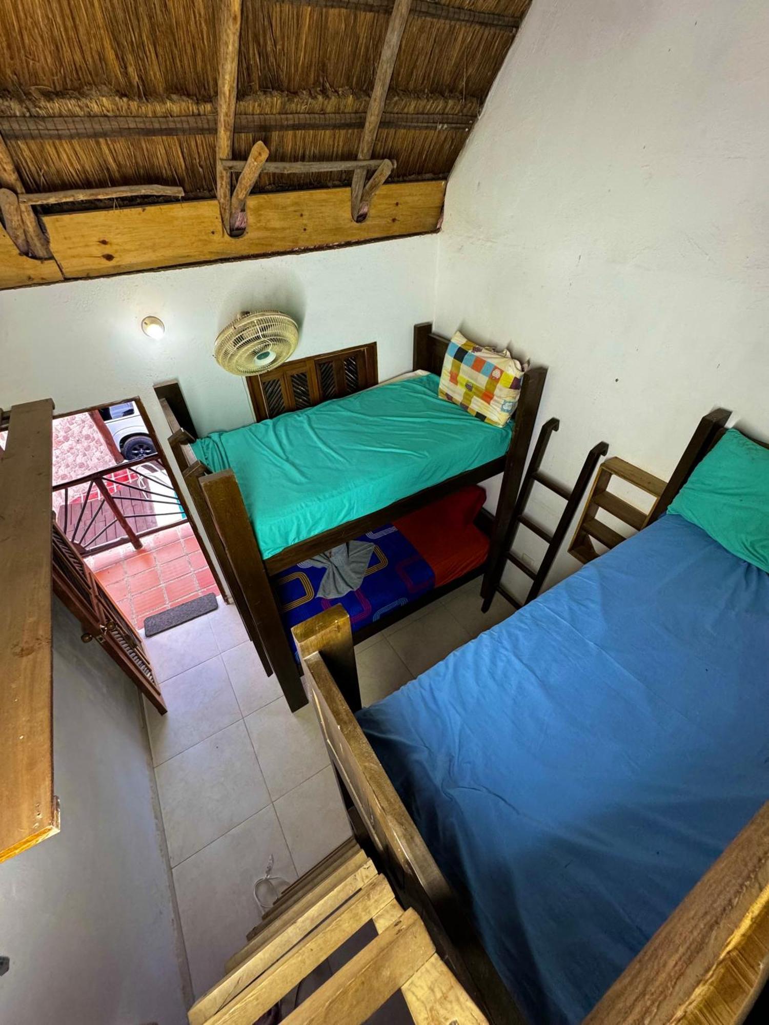 Hostal Nibuni פאלומינו מראה חיצוני תמונה