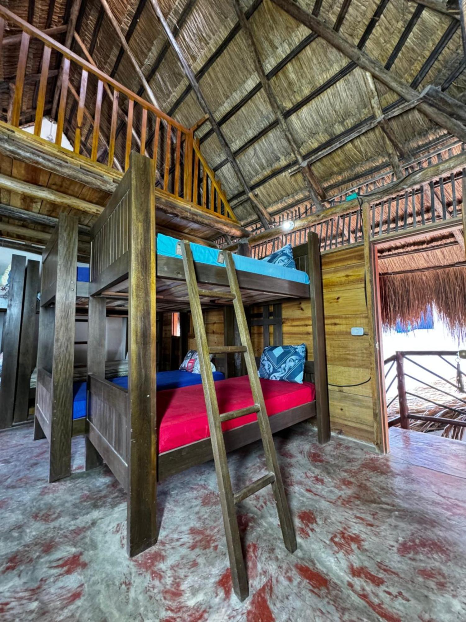 Hostal Nibuni פאלומינו מראה חיצוני תמונה