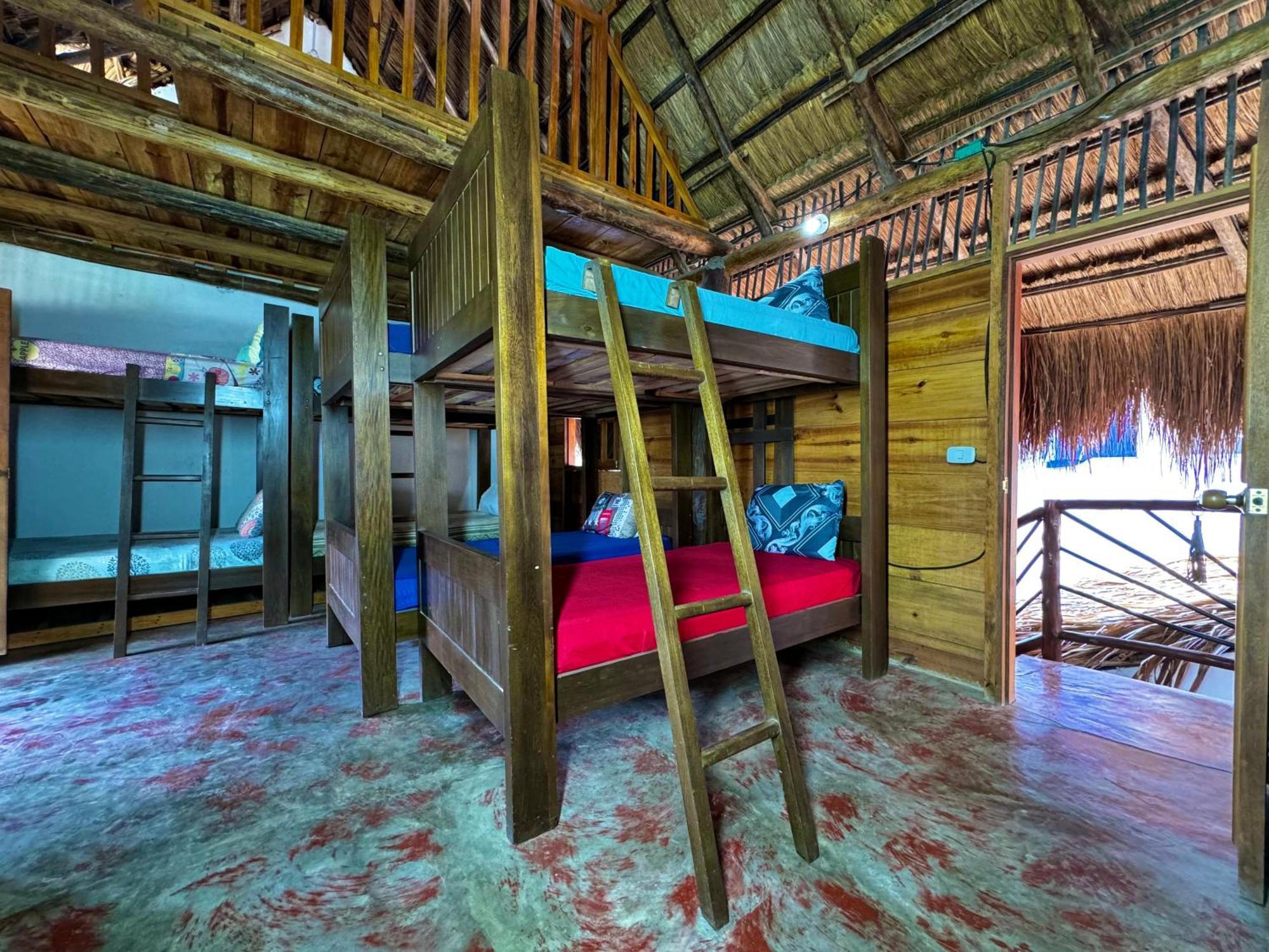 Hostal Nibuni פאלומינו מראה חיצוני תמונה