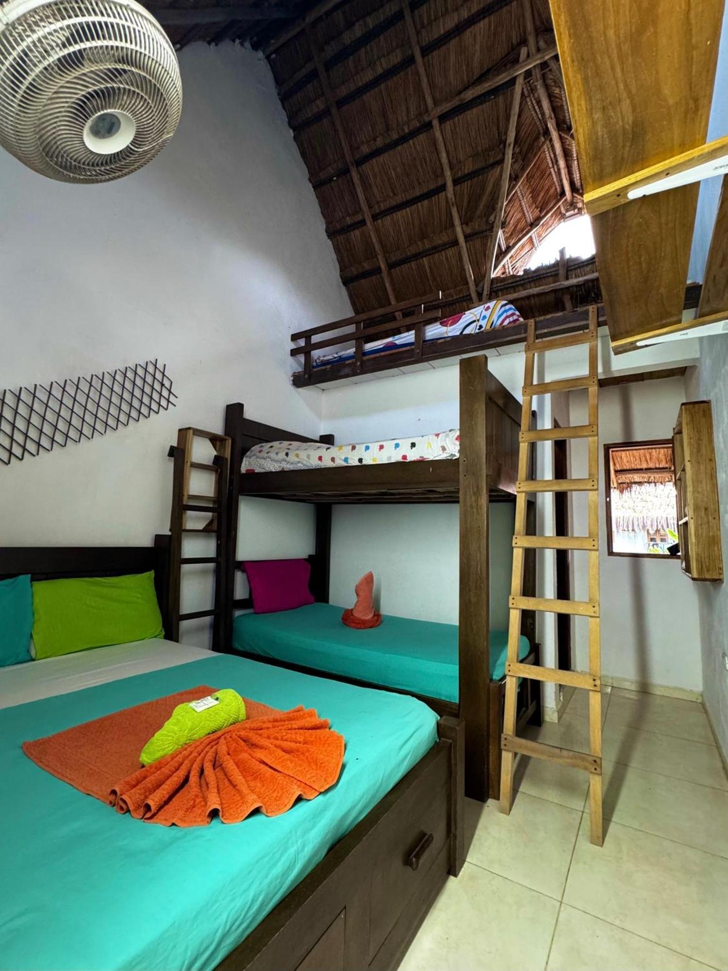 Hostal Nibuni פאלומינו מראה חיצוני תמונה